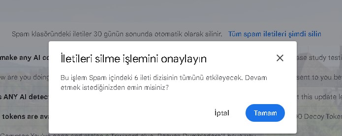 gmail-spam-kutusu-nasil-temizlenir Gmail Spam Kutusu