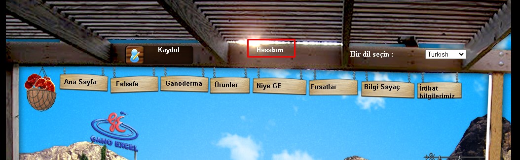 Gano-Excel-International-Giris Gano Giriş